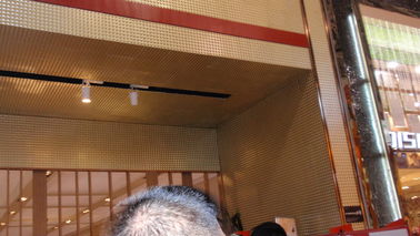 Prenda impermeable al aire libre moderna decorativa de los recubrimientos de paredes de los paneles de pared 3D del supermercado